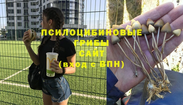 PSILOCYBIN Нефтекумск