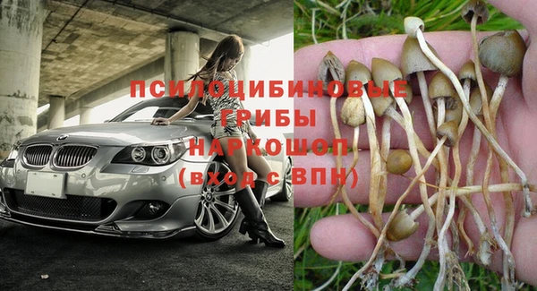PSILOCYBIN Нефтекумск